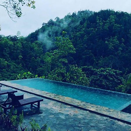 Jansen'S Bungalow Sinharaja Rainforest Retreat Kudawe Kültér fotó