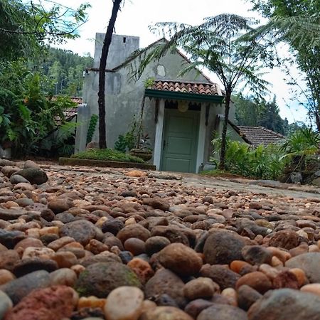 Jansen'S Bungalow Sinharaja Rainforest Retreat Kudawe Kültér fotó
