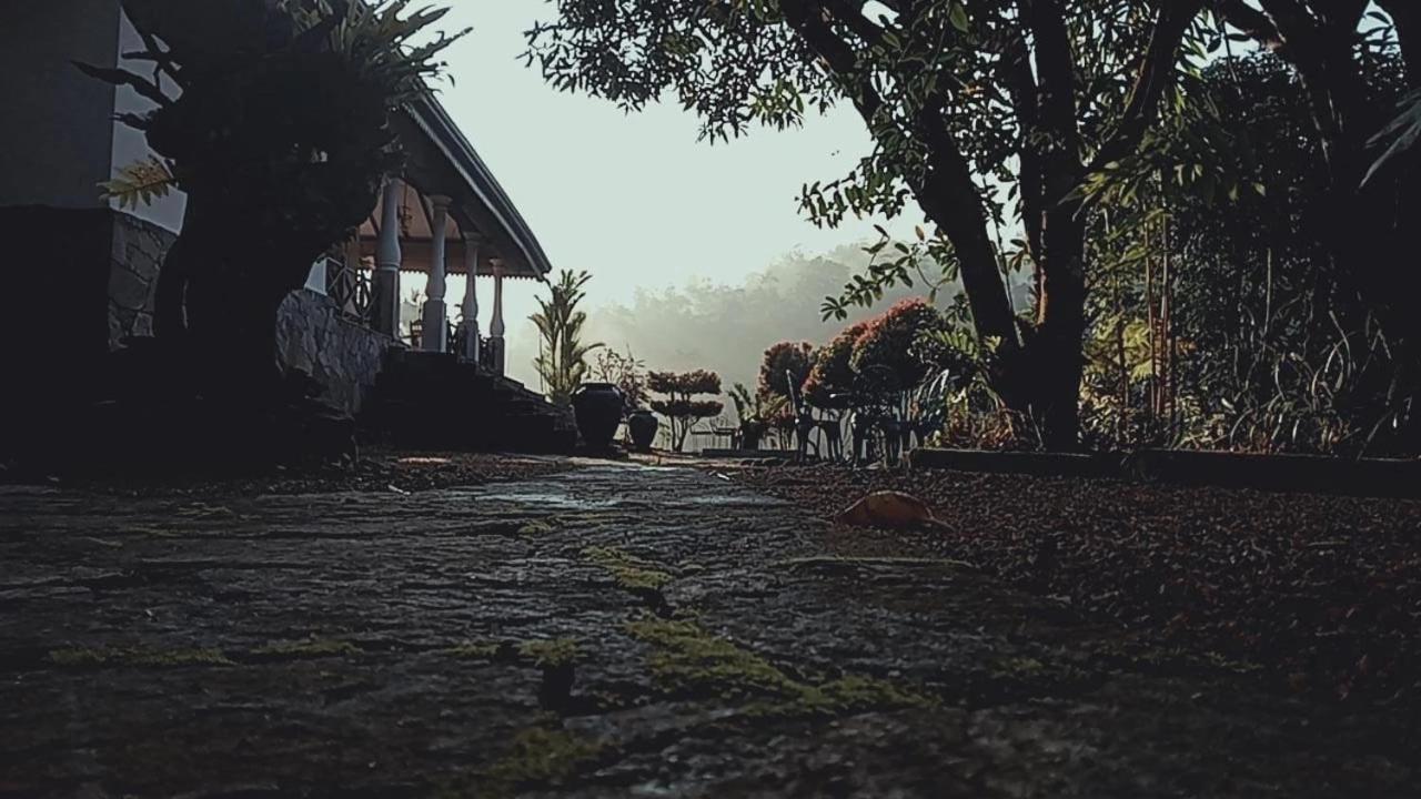 Jansen'S Bungalow Sinharaja Rainforest Retreat Kudawe Kültér fotó
