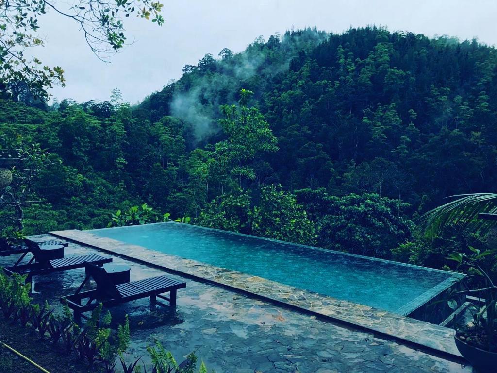 Jansen'S Bungalow Sinharaja Rainforest Retreat Kudawe Kültér fotó