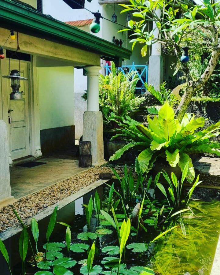 Jansen'S Bungalow Sinharaja Rainforest Retreat Kudawe Kültér fotó