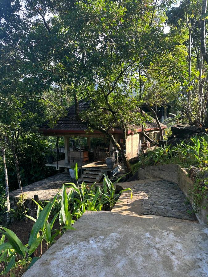 Jansen'S Bungalow Sinharaja Rainforest Retreat Kudawe Kültér fotó